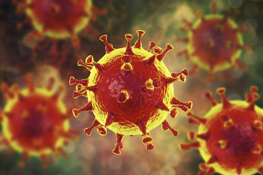 Has the novel coronavirus affected your business?