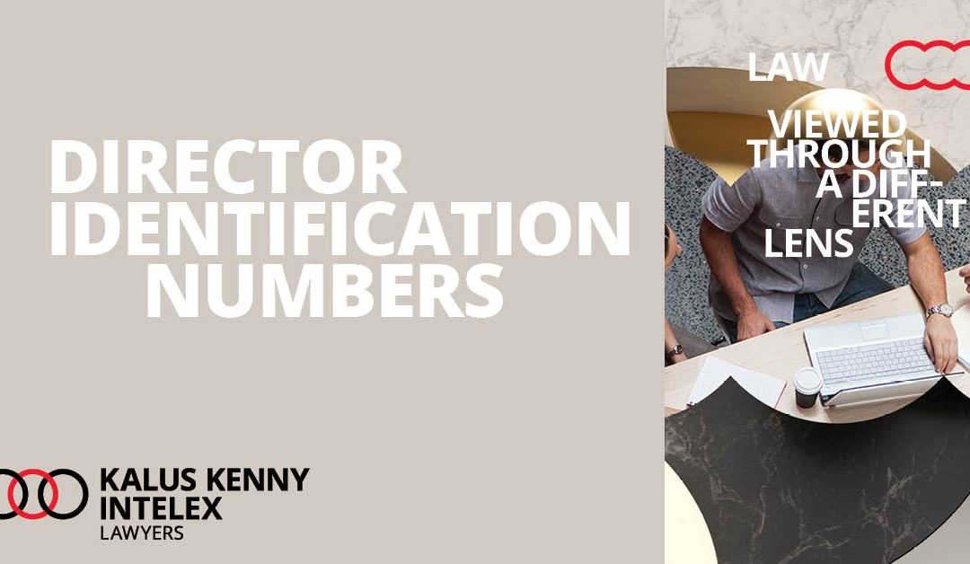Director Identification Numbers – what you need to do to prepare and what they mean for you