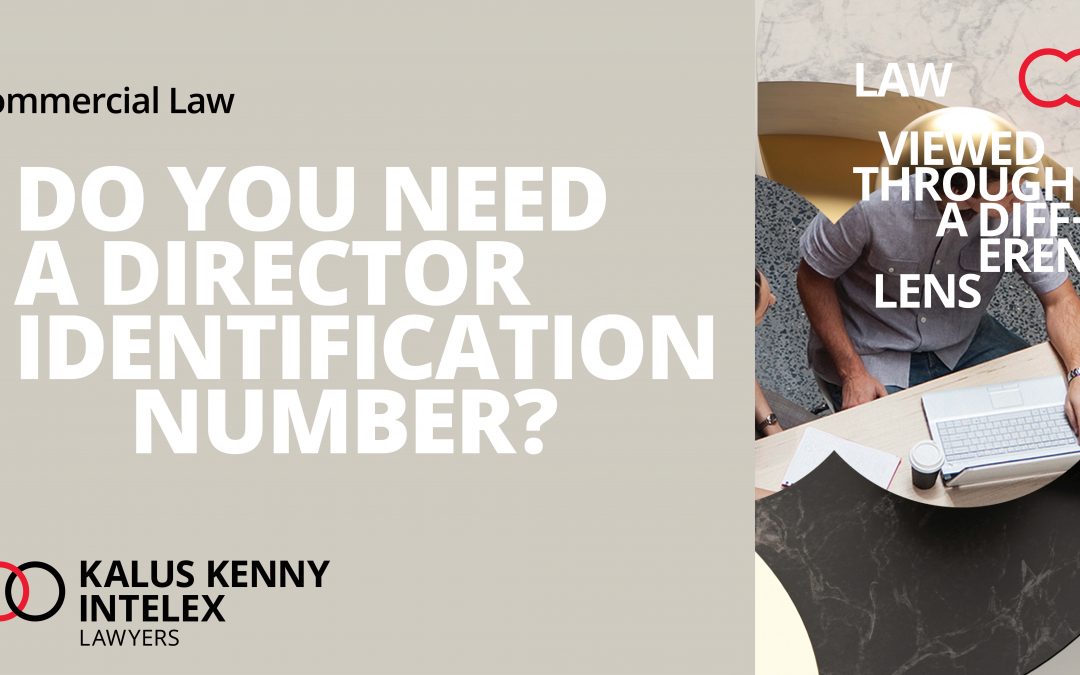 Do you need a Director ID?