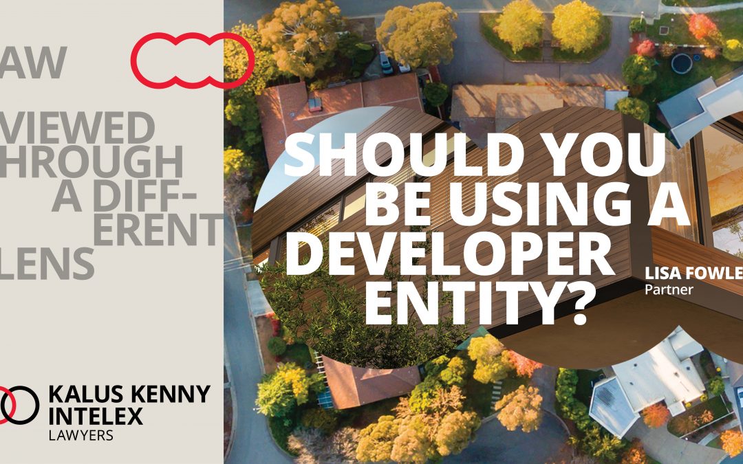 Should you be using a developer entity?