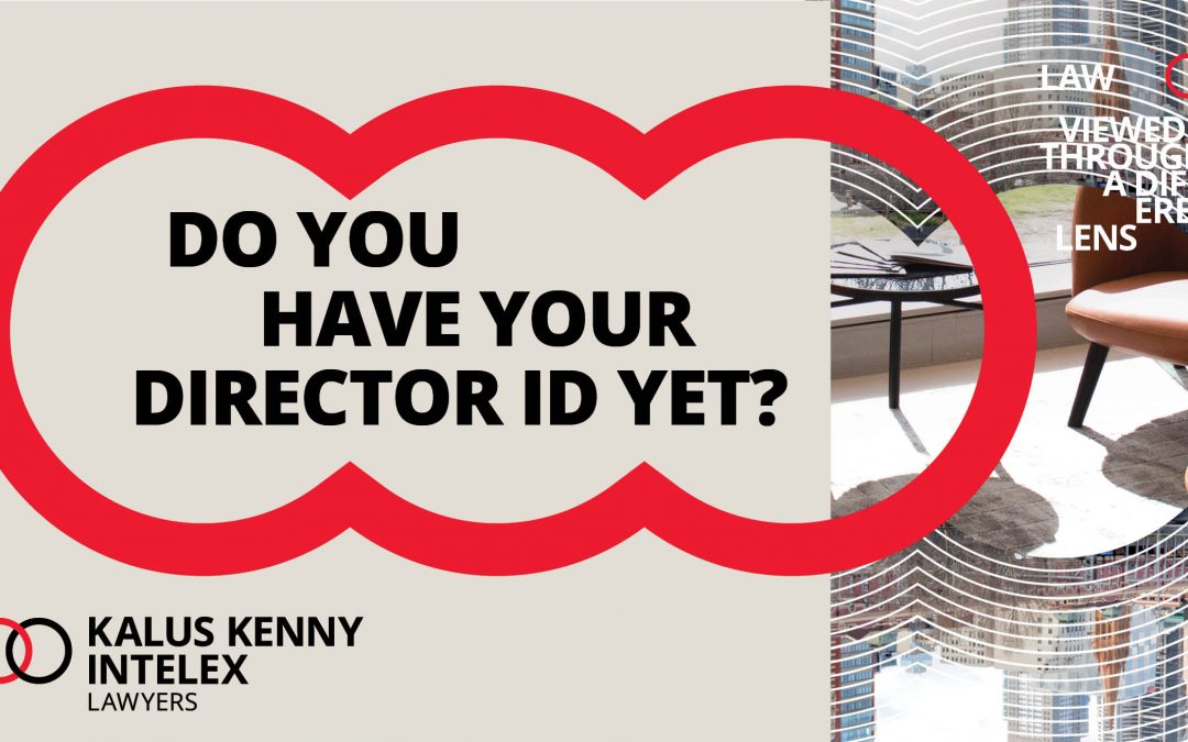 When do I have to apply for a Director ID?