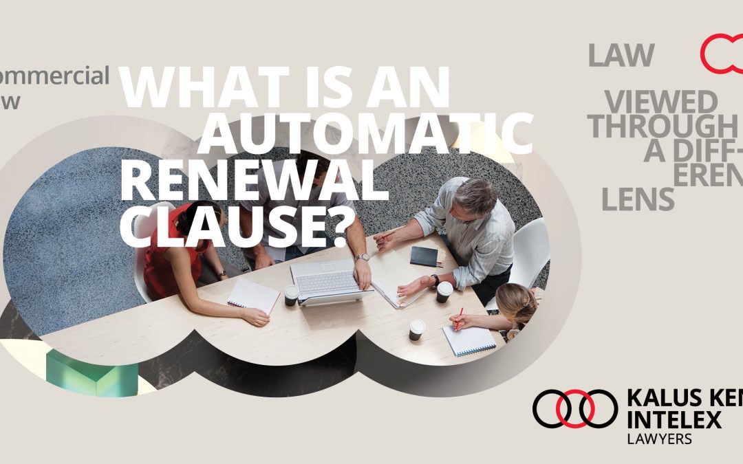 What is an automatic renewal clause and an option to renew, and why do they matter?