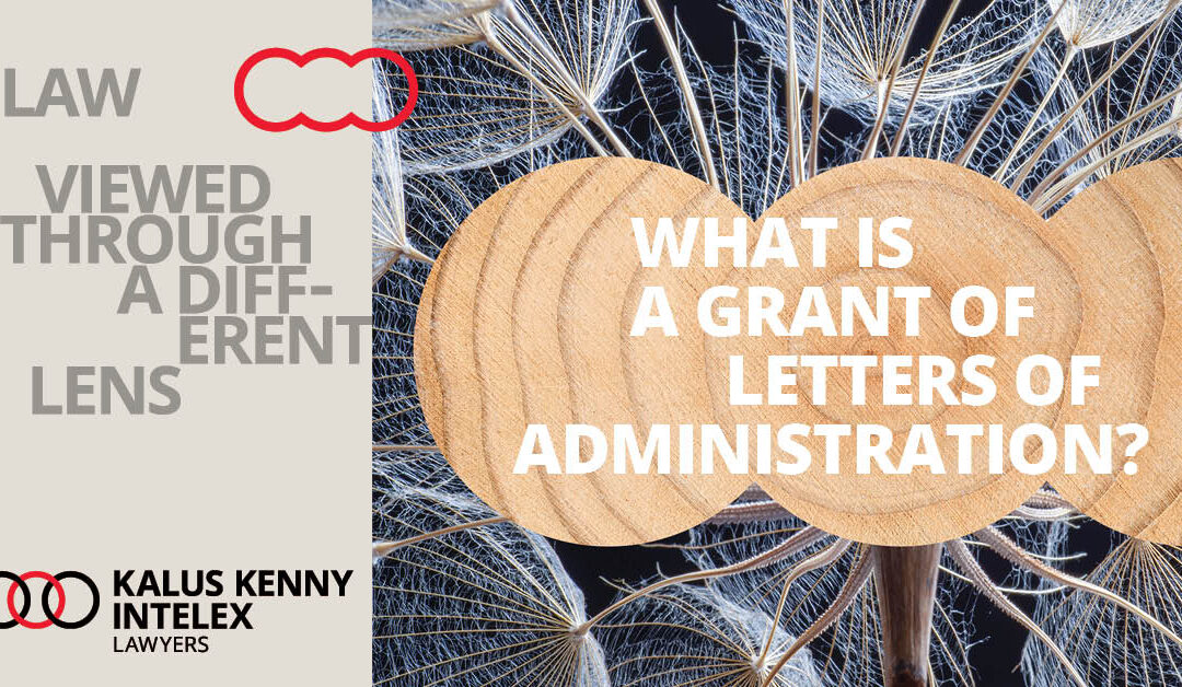 What is a ‘Grant of Letters of Administration (with the Will annexed)’?